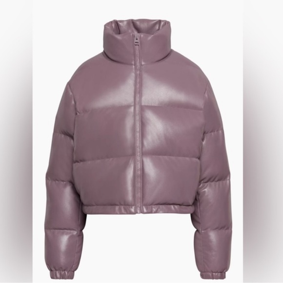 Aritzia Wilfred Free Vista Puffer Jacket - Picture 3 of 12